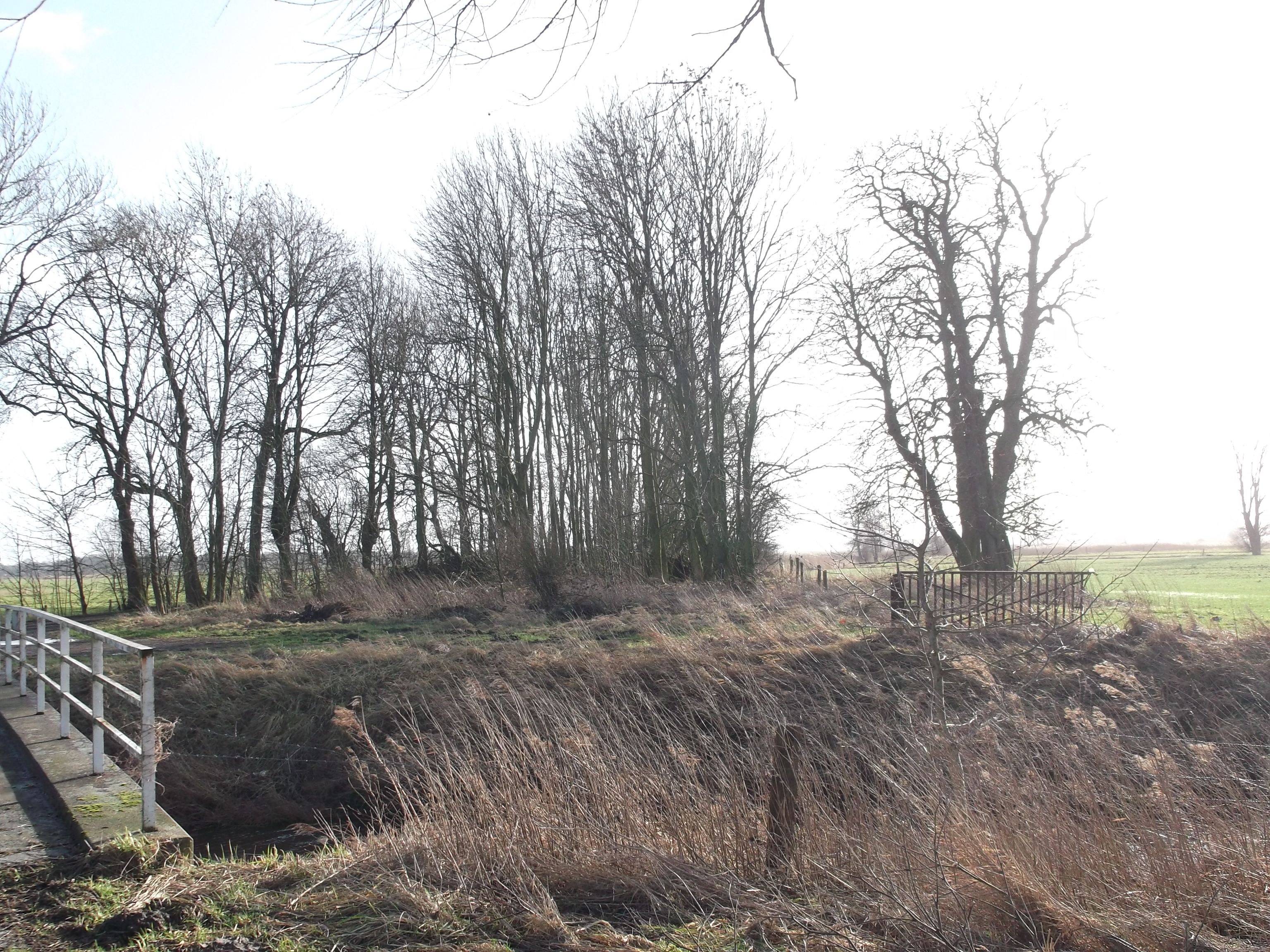 Mühlentief an der Sietwendung 2013